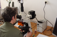 Laboratorium Dozymetrii Biologicznej